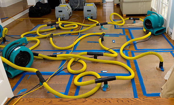Professional Flood Damage Restoration technician working in Greenville, OH